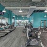 Lifetime Fitness Equipment