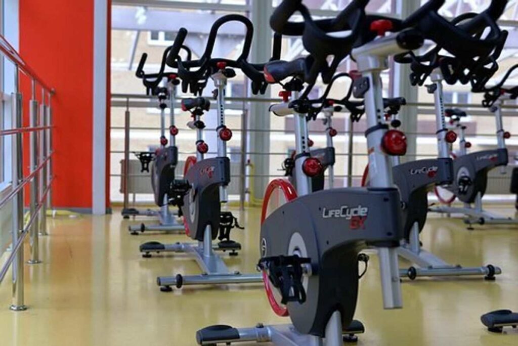 Sunny Indoor Cycling Bike