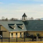 Terry Bison Ranch Resort