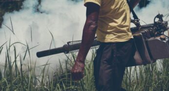 Fogging machine – How Do I Get The Best Deal