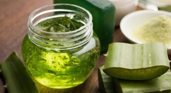 Aloe Vera Forever Living Products – Find the Best Deal