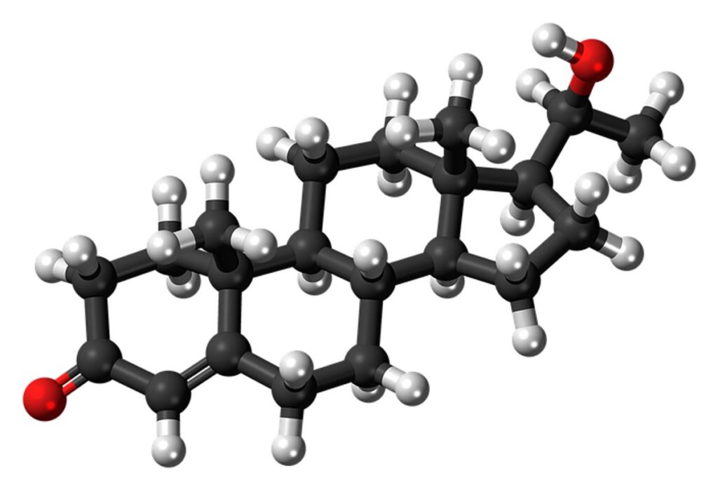 anaboler Steroide