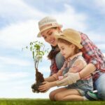 What to Look For in a Free Family Tree