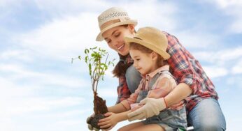 What to prepare for in a Free Family Tree Theme