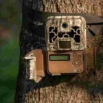 best trail camera