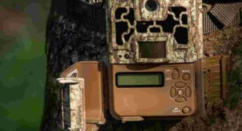 Do Trail Cameras Use WiFi?