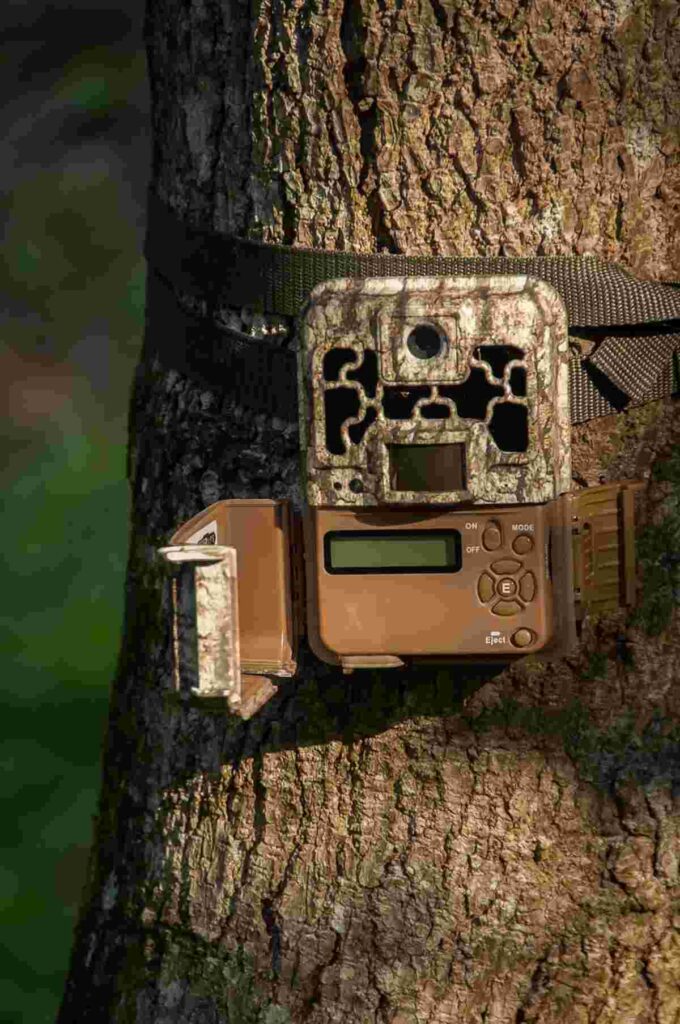 best trail camera