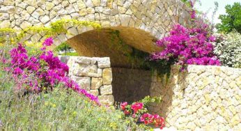 Landscaping With Stone Center Landscape & Masonry