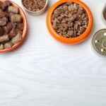 Eagle Pack Dog Food Review