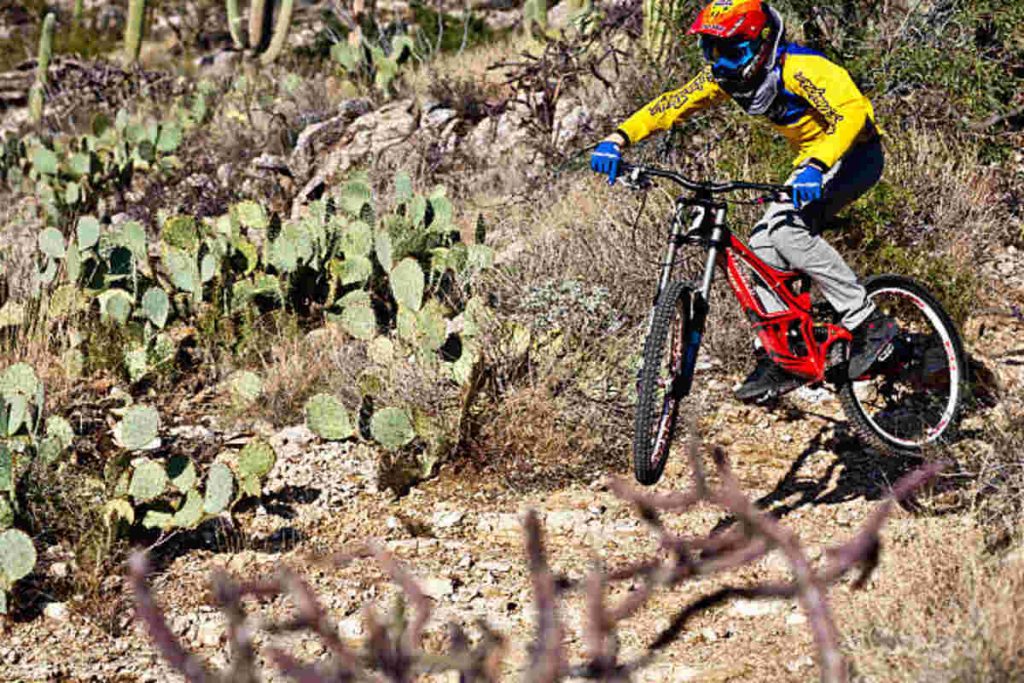 Giant Iguana Mountain Bike