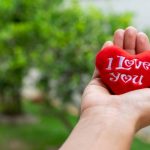 Live What You Love Meaning in Hindi